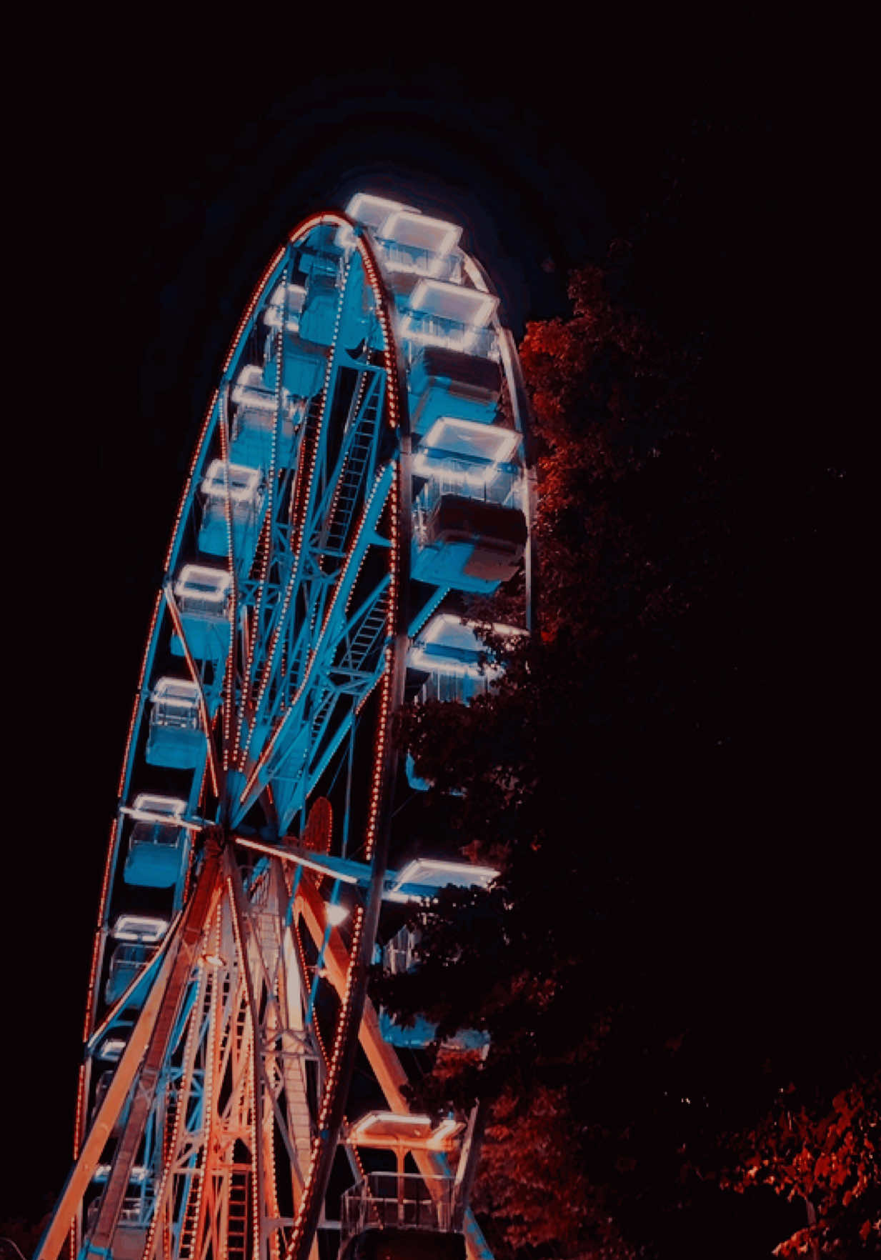 @✯✯♡ 𝓁𝒾𝓋𝒾𝒾 ♡✯✯