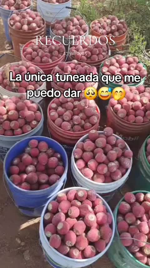 @La Flaka