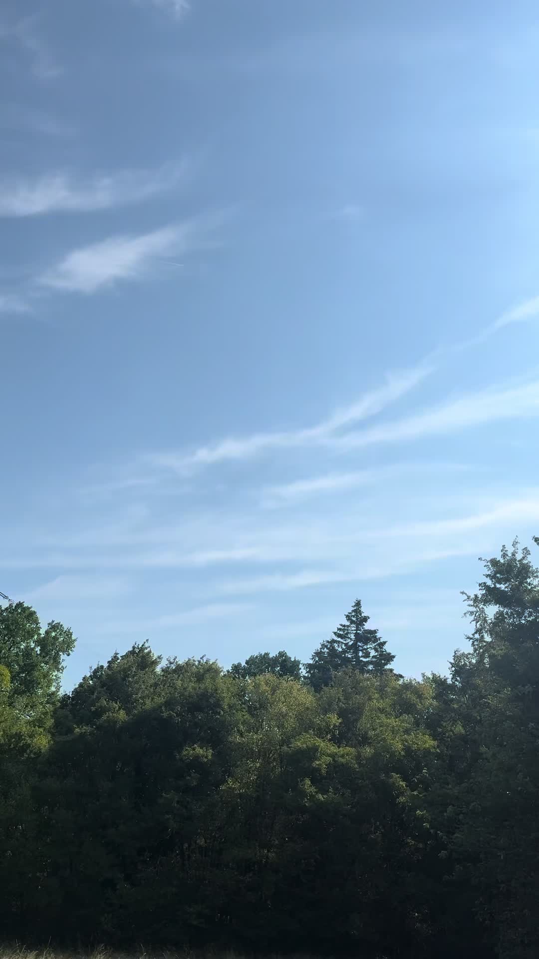 @+40🇷🇴