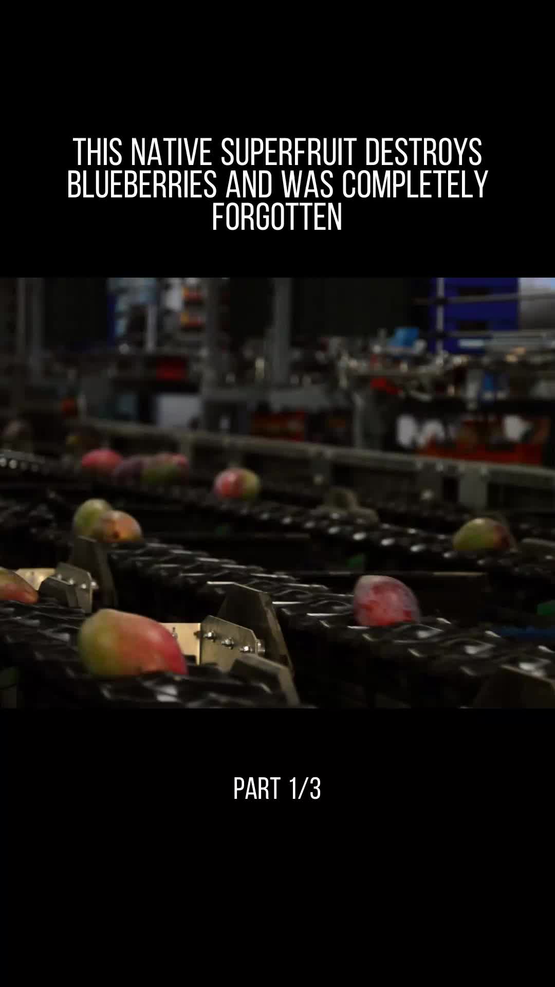 @user32331650853717