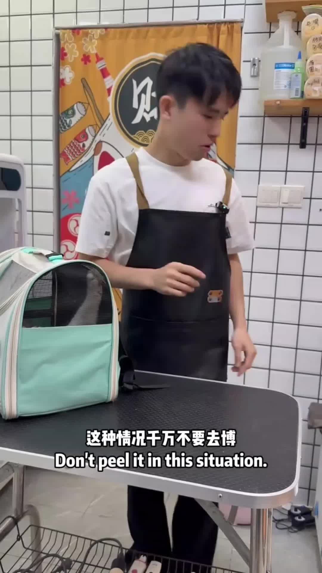 @Cat 😺 video