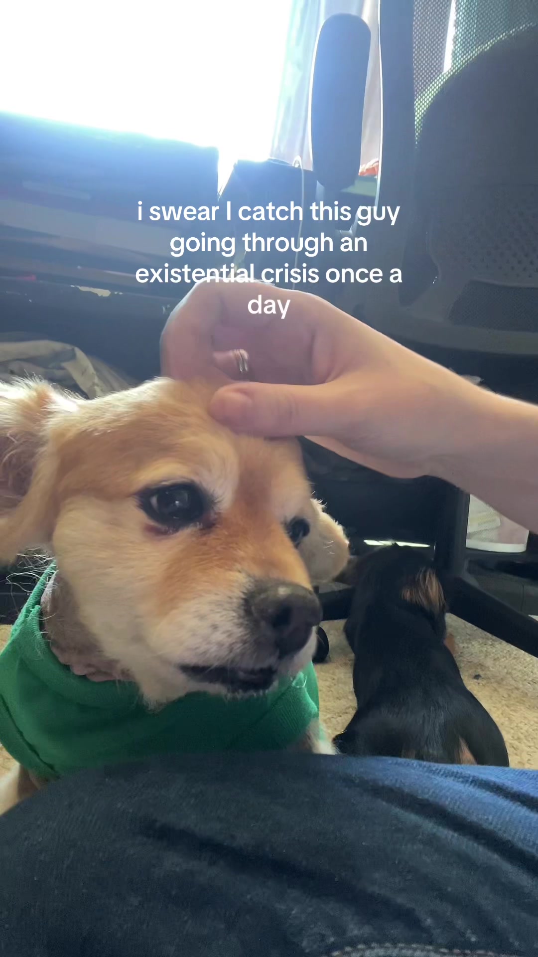 @kingpep