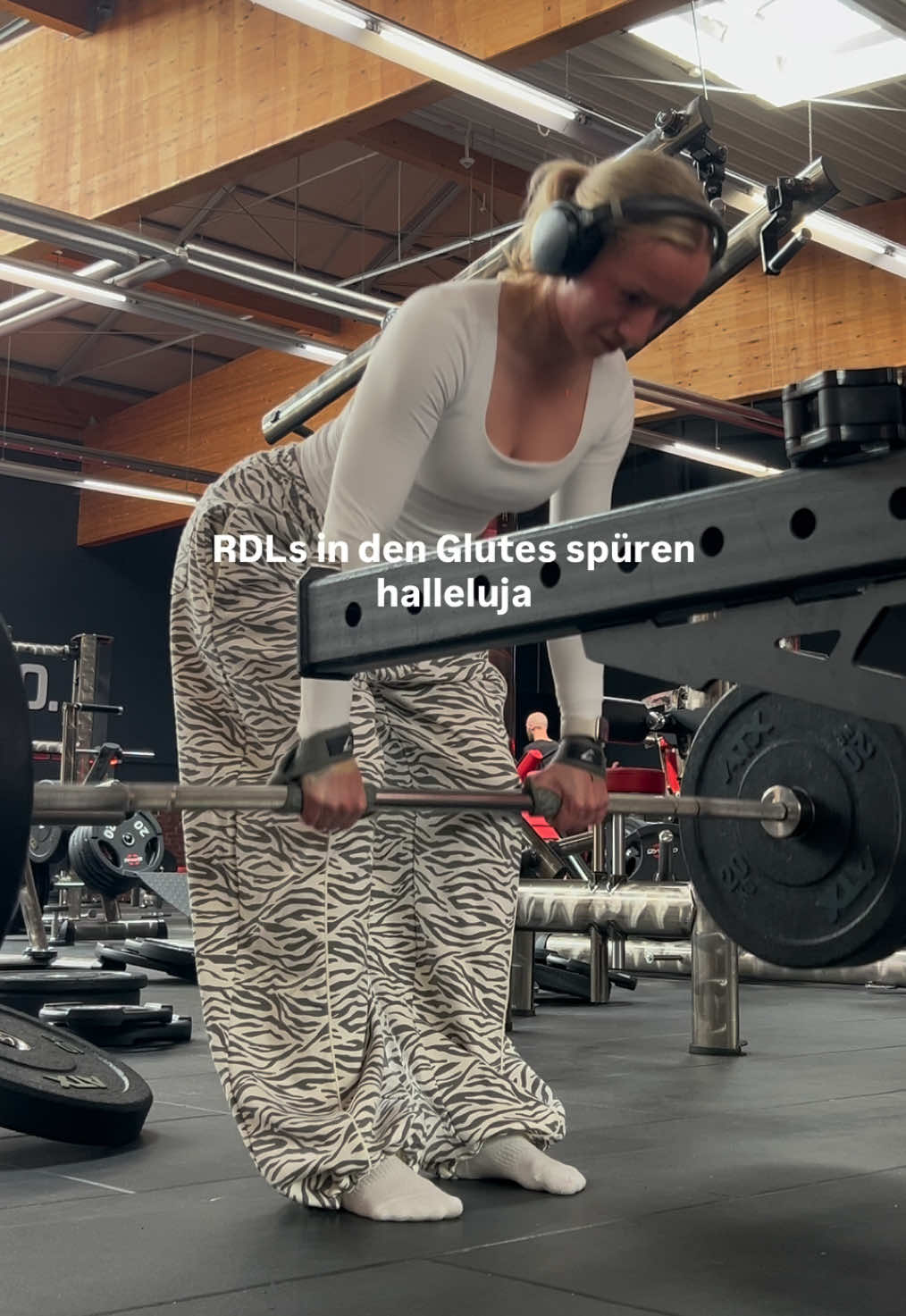 @robinevanessa
