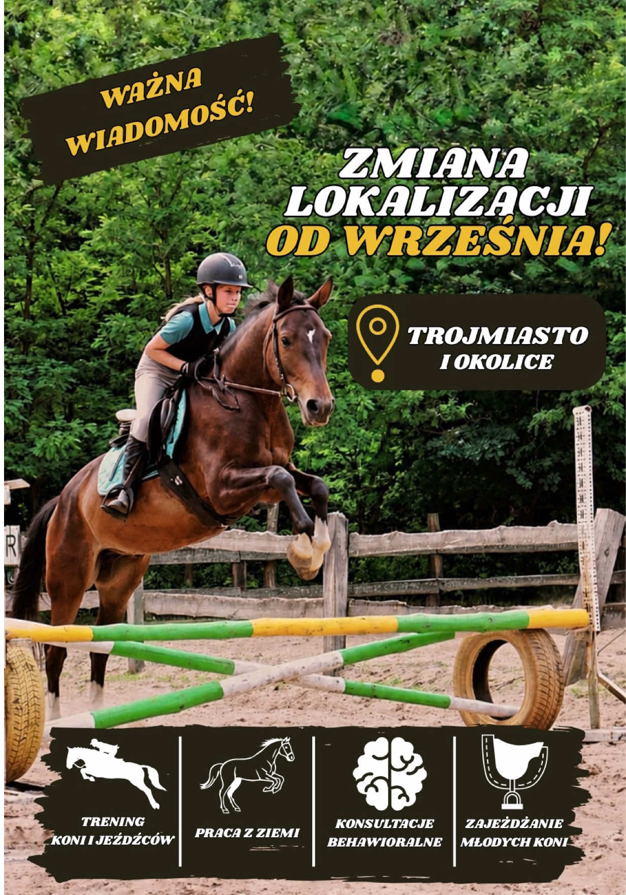 @WS_Trener_Koni_Jeźdźców