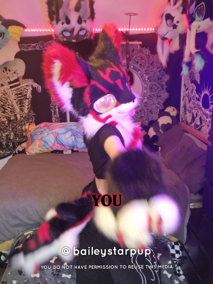 @Bailey (lilpixiekitten)