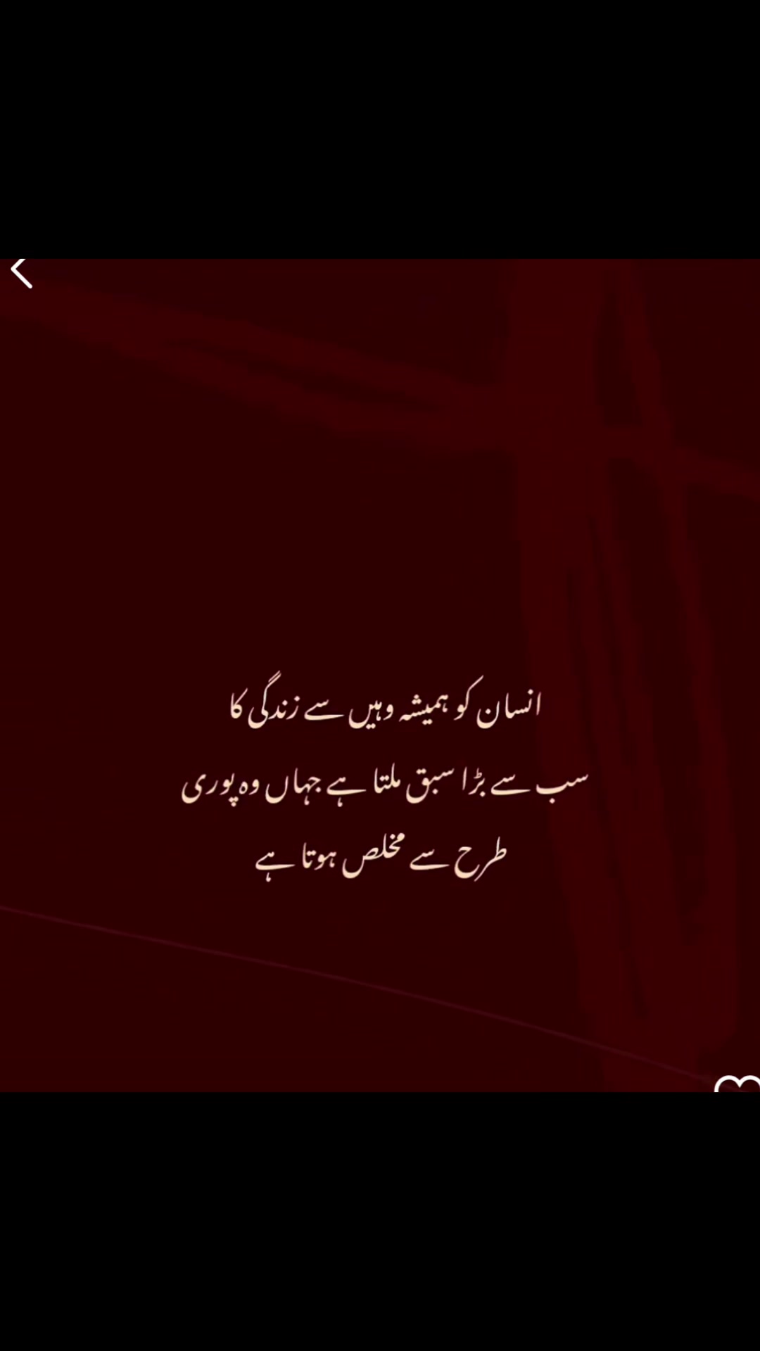 @Kash🌹