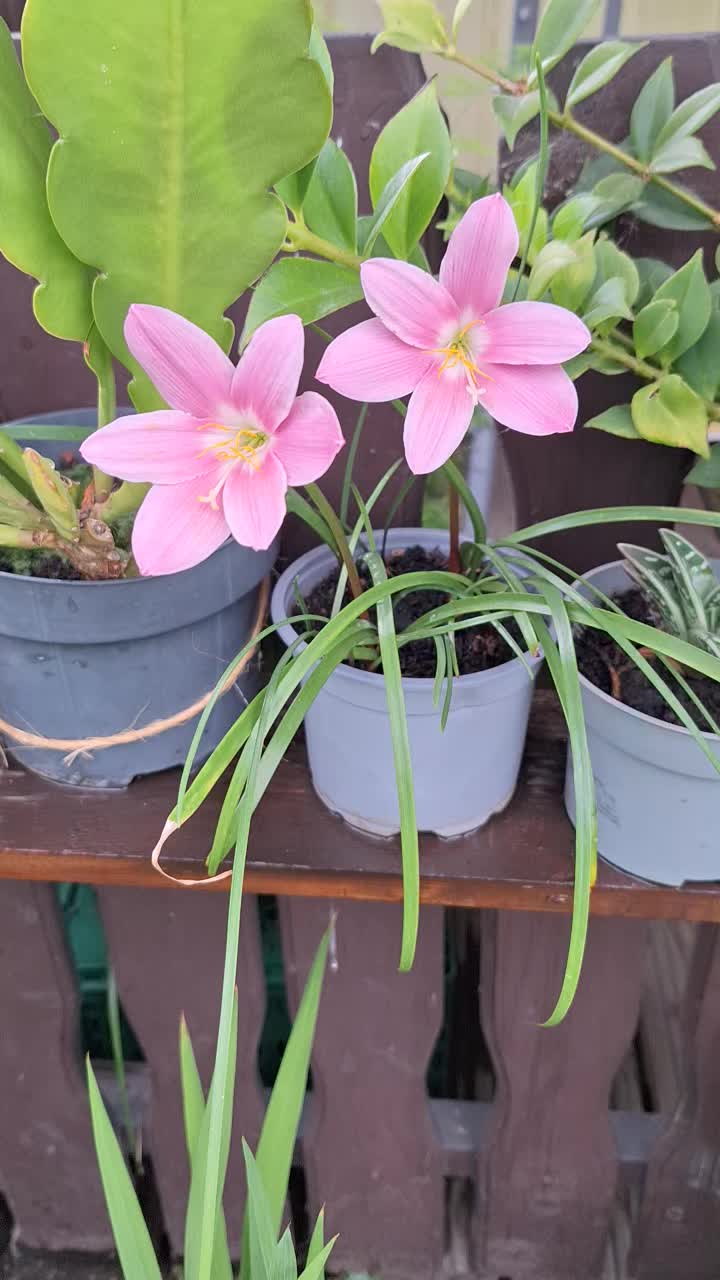 @Natur und Garten