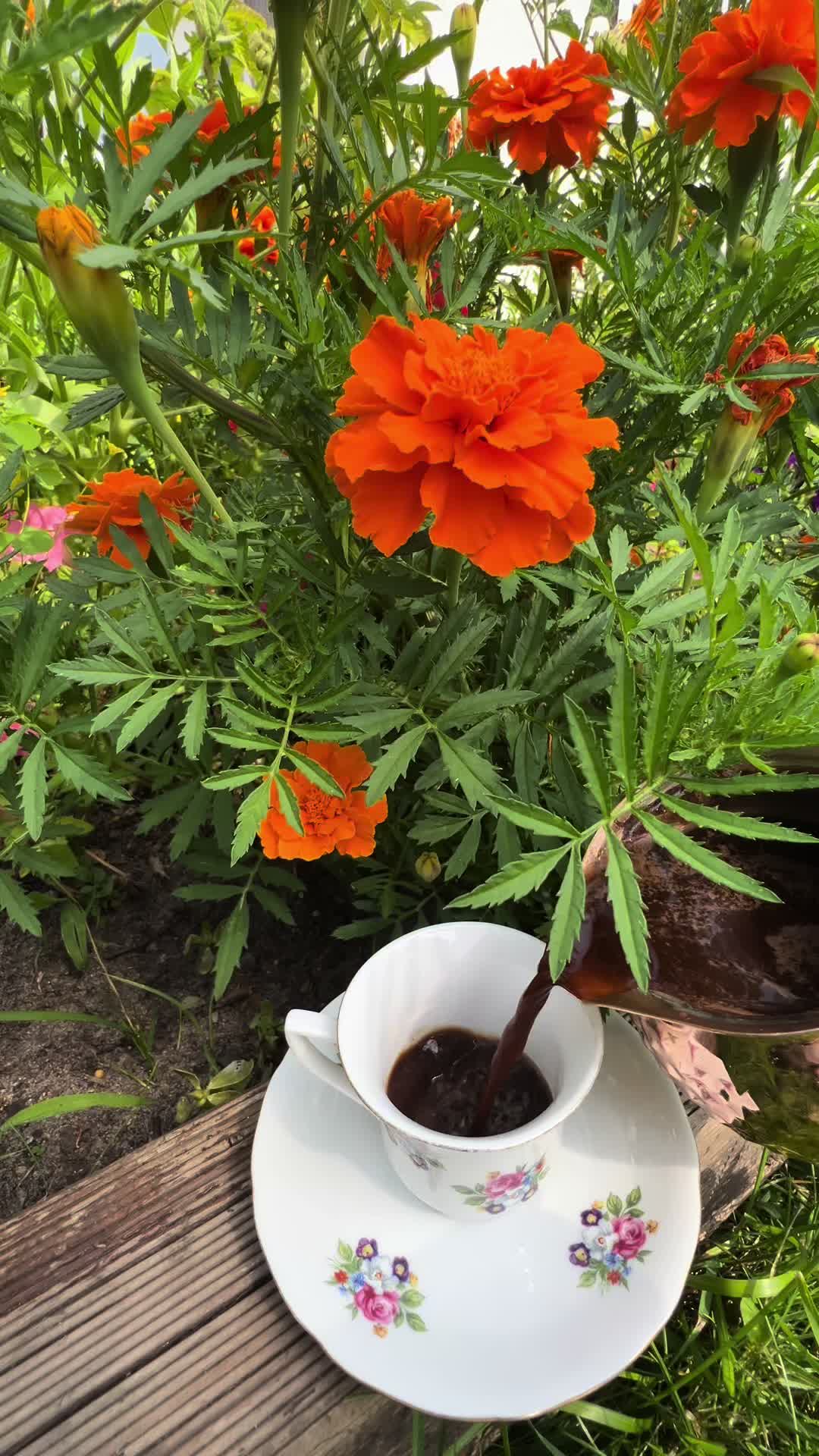 @☕️Emilia