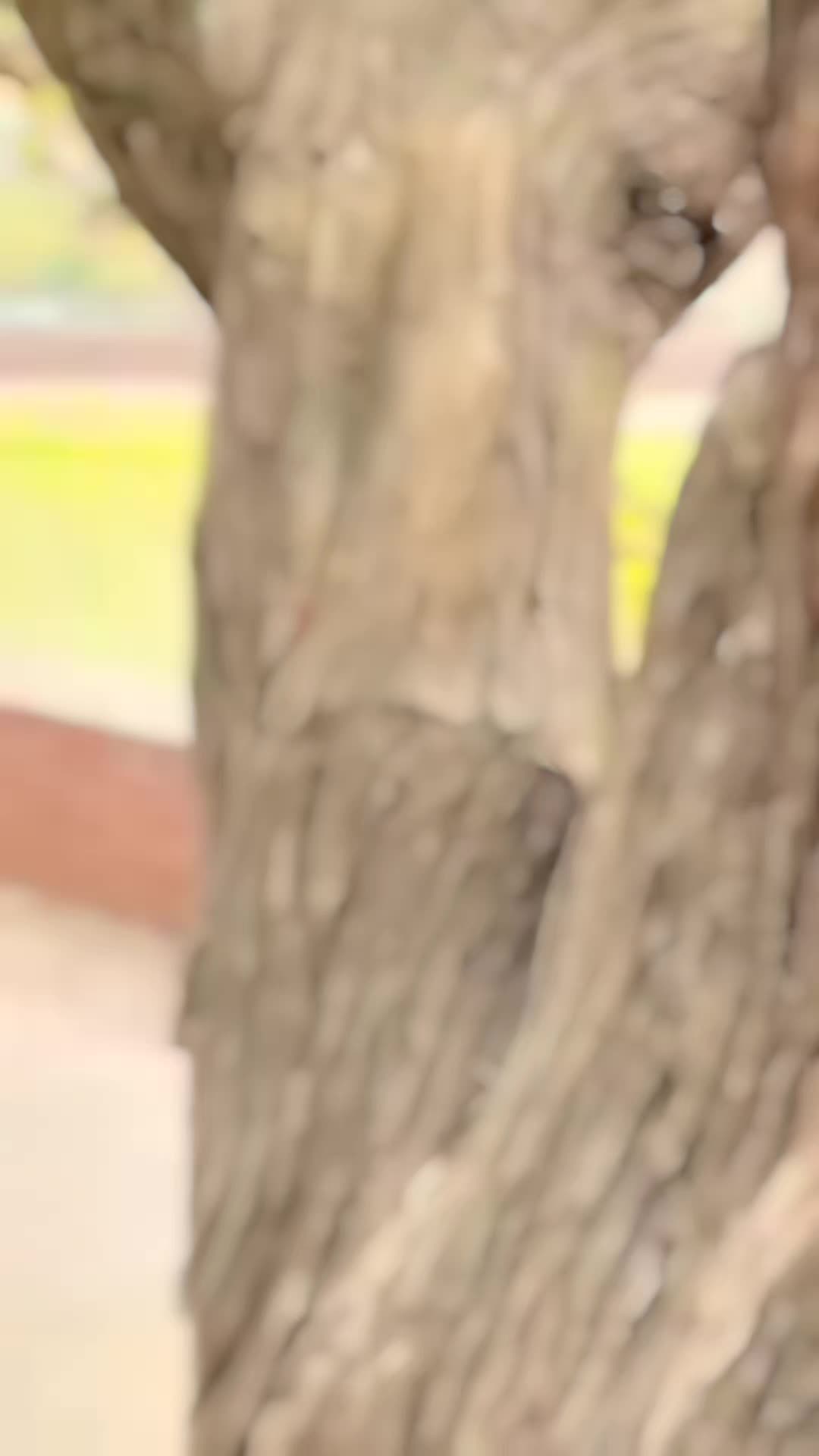 @Kashmir Ka Dil&hearts;️