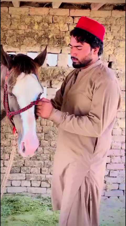 @ملک ارباز ساہیوال