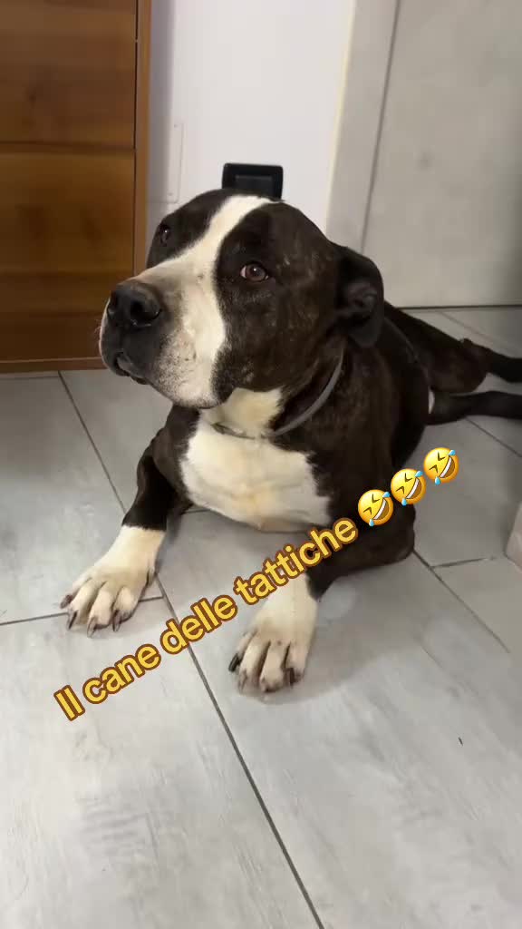 @💎Emanuela80🐾💎