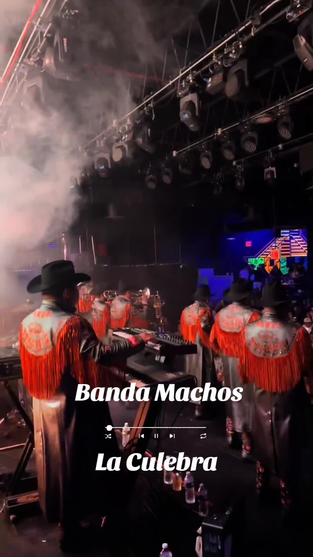 @Miguel Angel Official