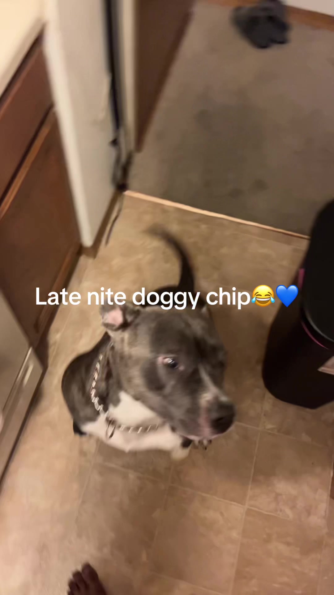 @TheLifeOfChop