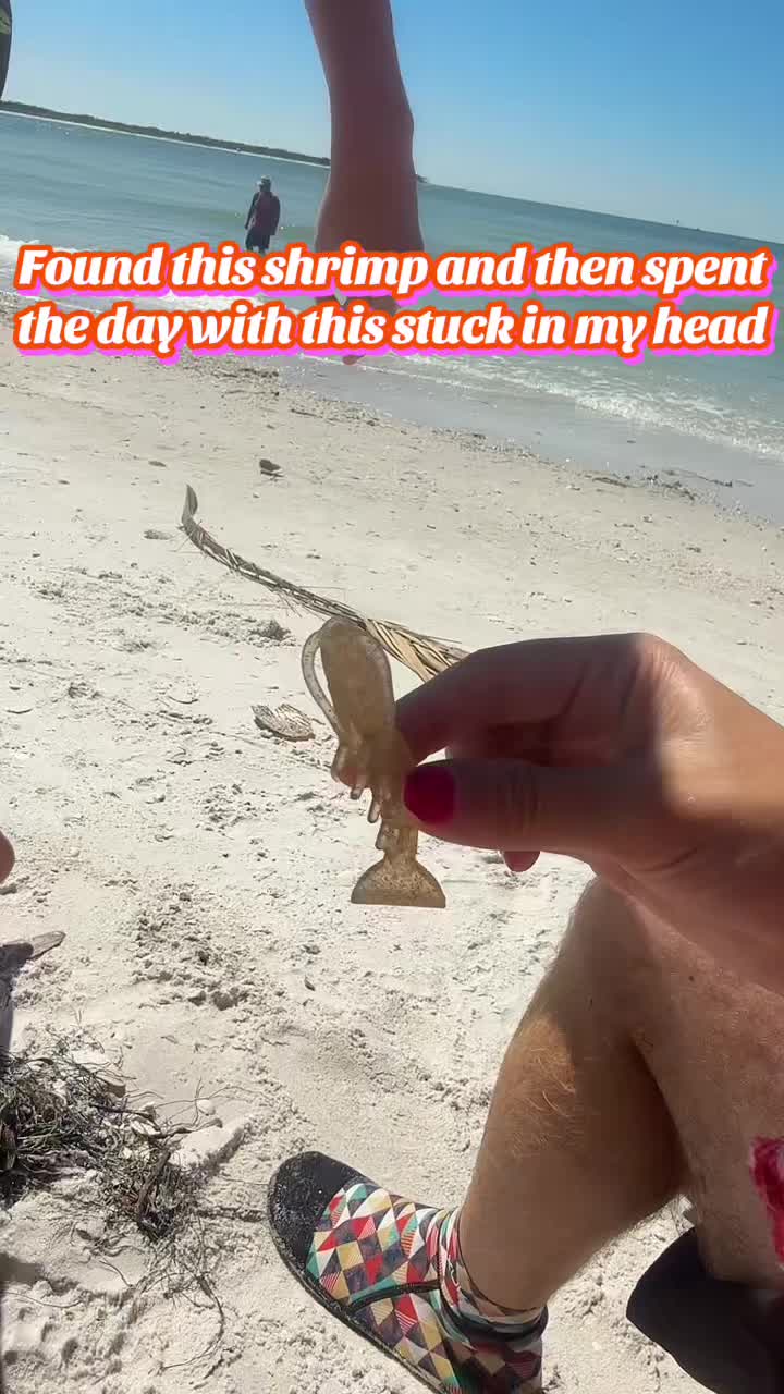 @Ashley Splashley🧜🏼♀️🌺🐚
