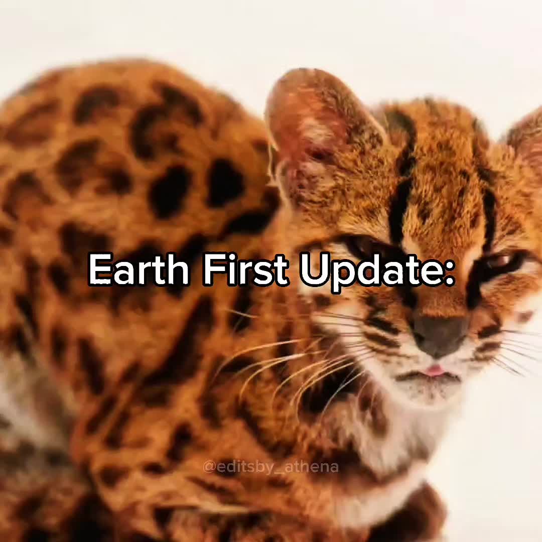 @𝐀𝐓𝐇𝐄𝐍𝐀