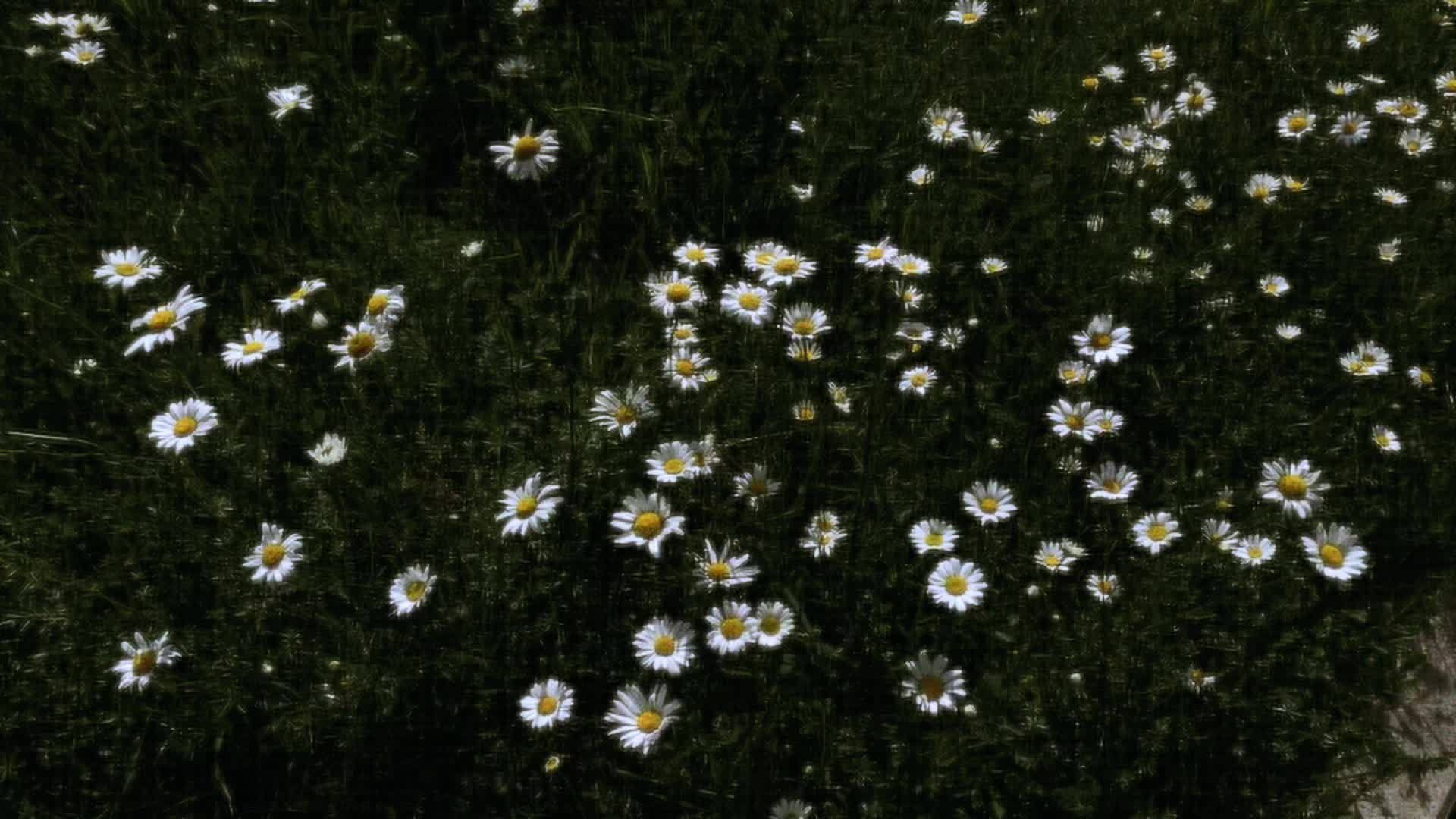 @𖣂𖣂𖣂