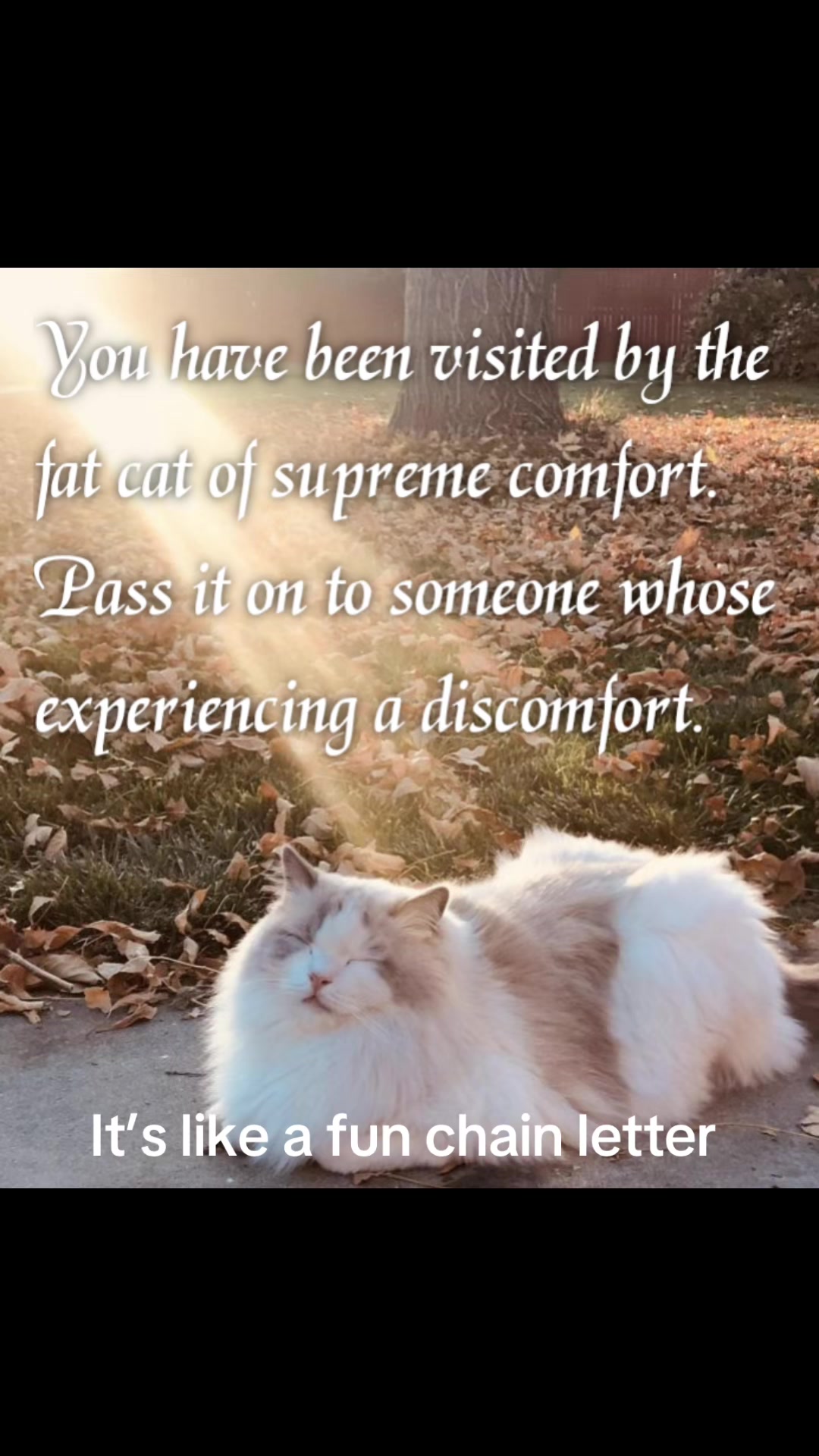 @realJoeFuss