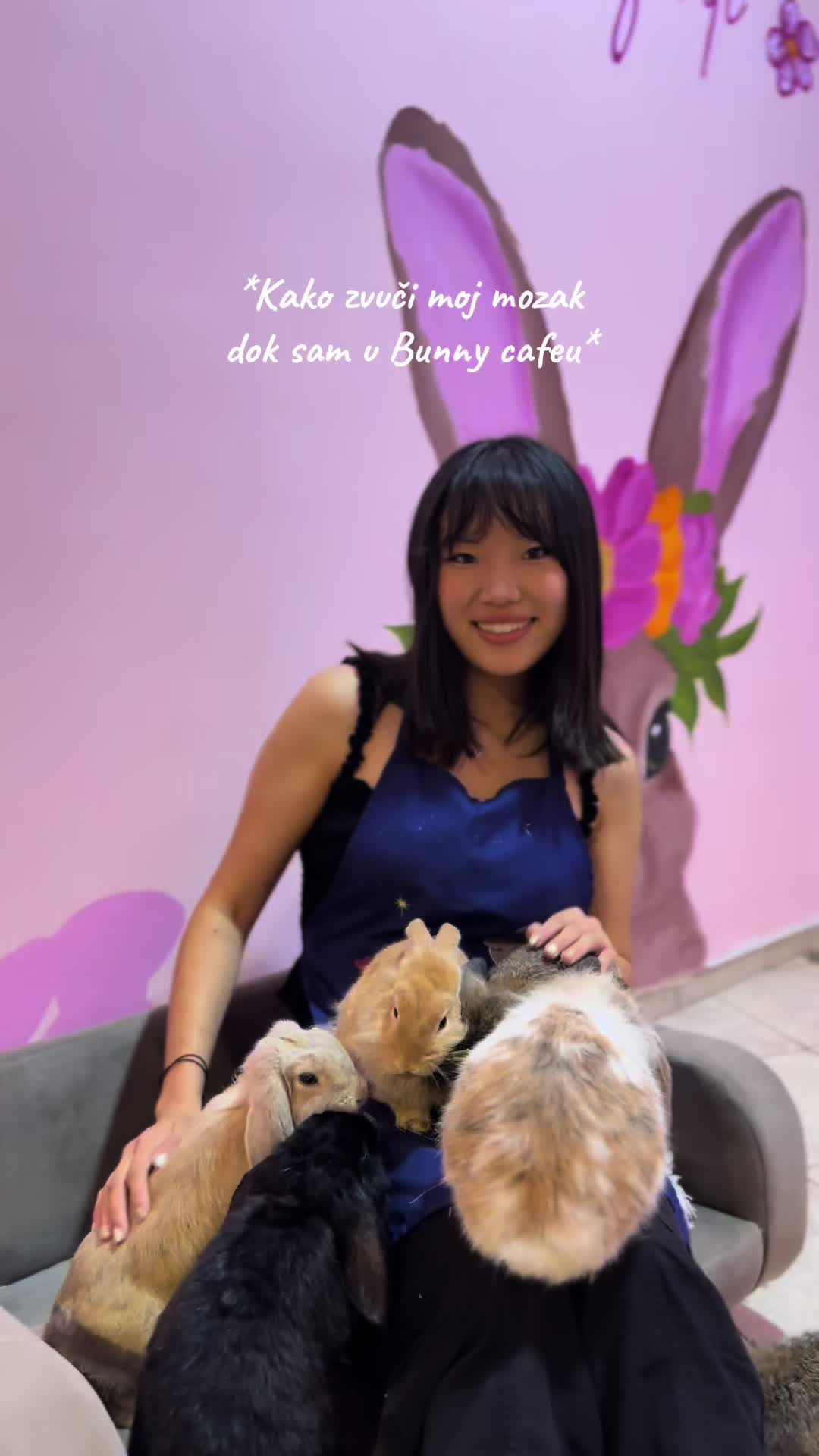 @Bunny caf&eacute;