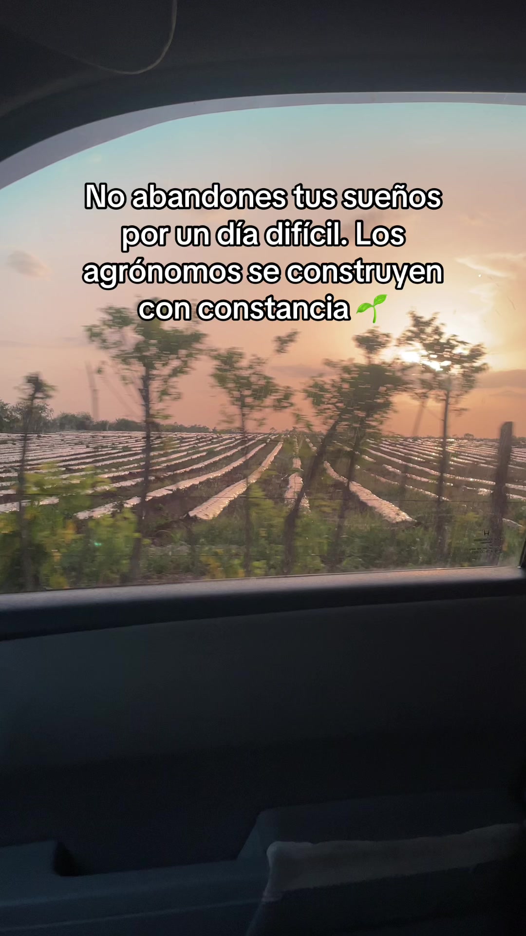 @La del Agro 👩🏻&zwj;🌾🌱