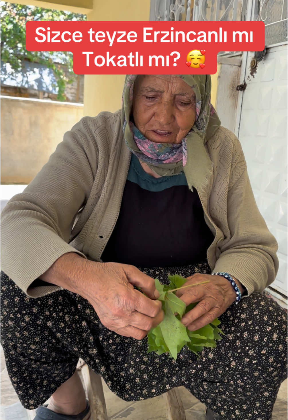 @Aylin Demir Fanları