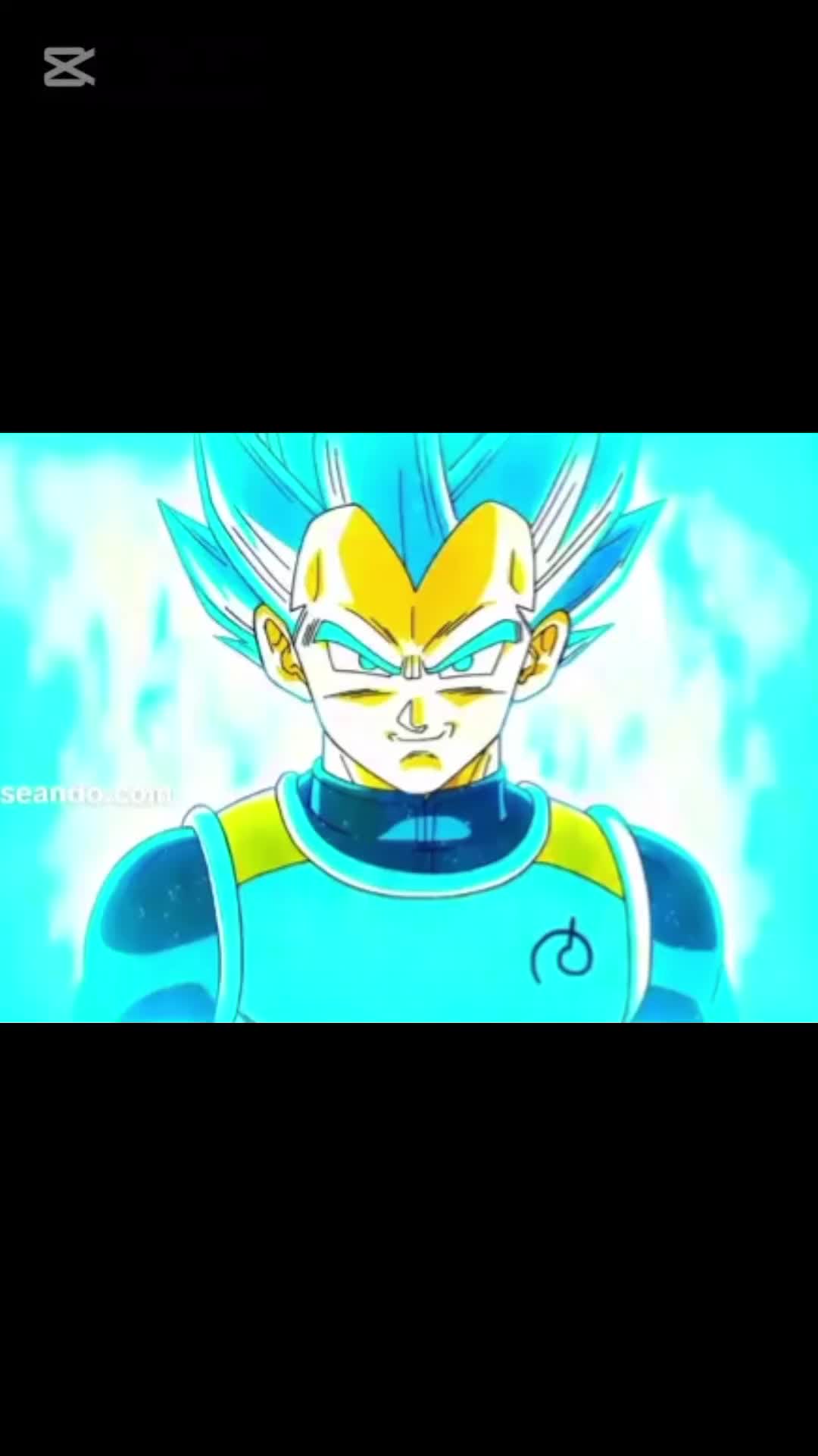 @GOGETA SSJ4 RANTS E MEME