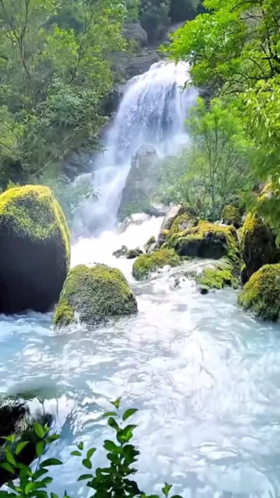 @zafar 52239