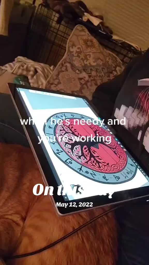 @DKBAUM1389