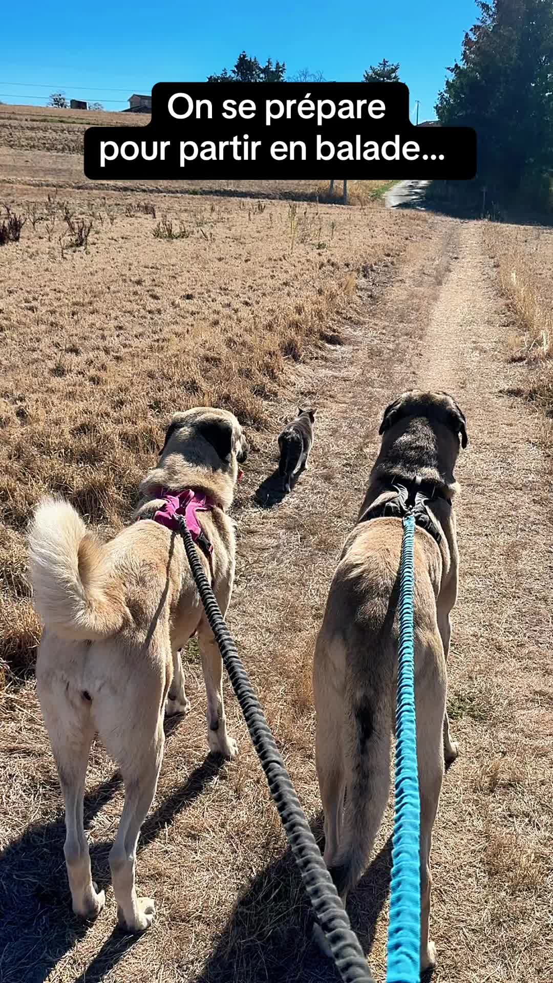 @Purekangal