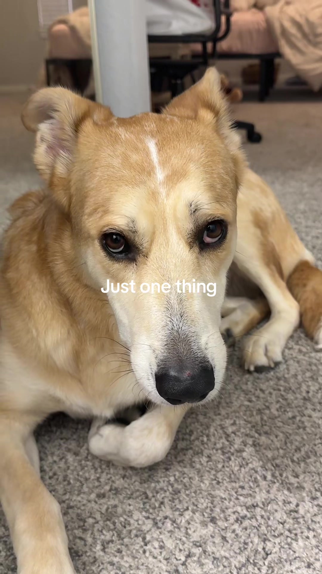 @em