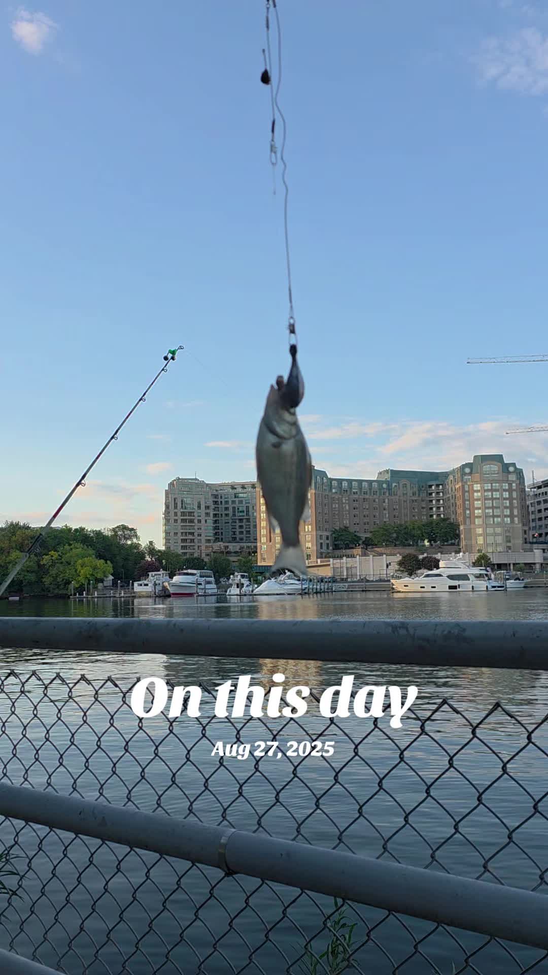 @Catfishin' Muslimah | Fishing