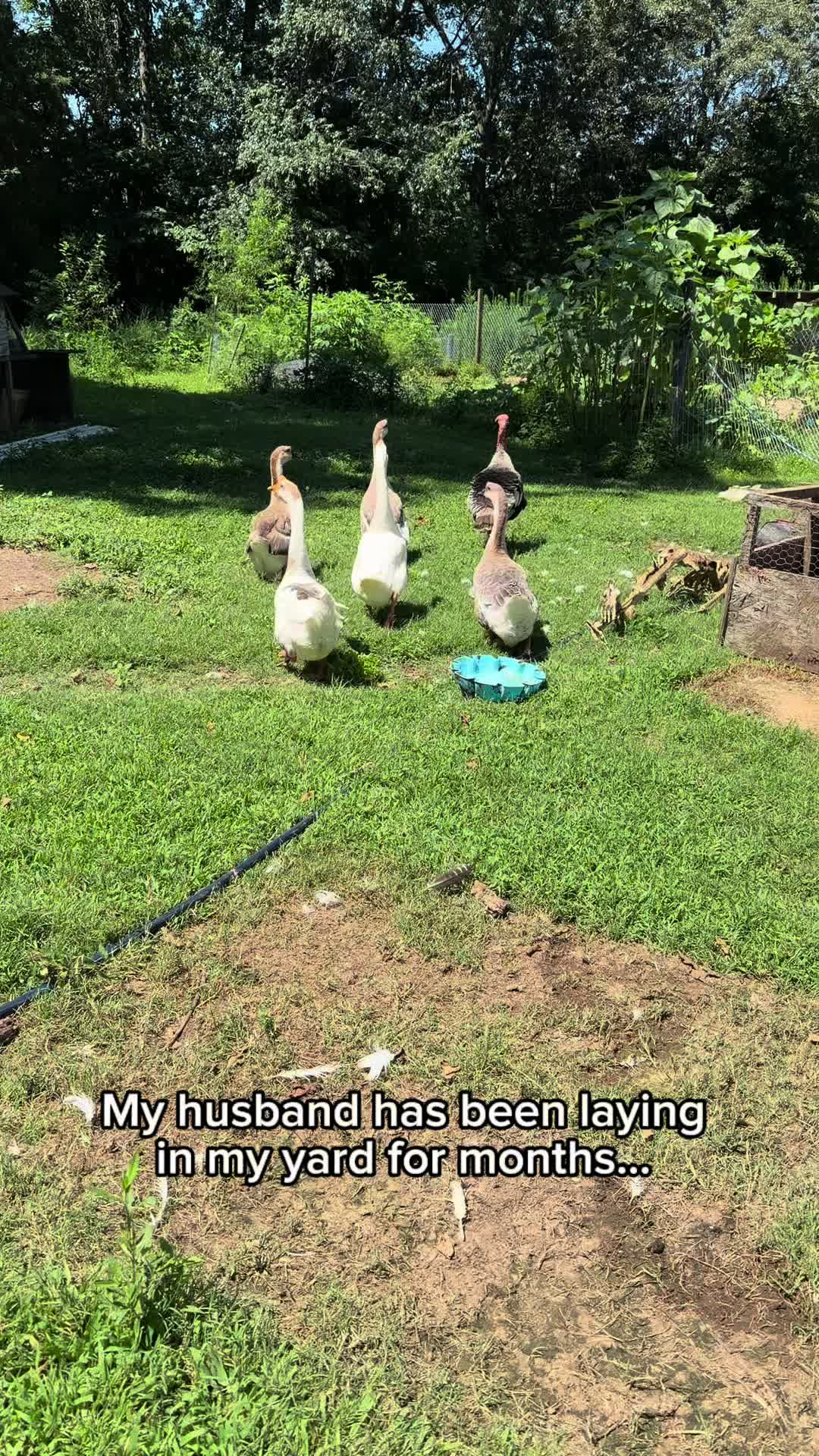 @Farmer Anita 👩🏾&zwj;🌾