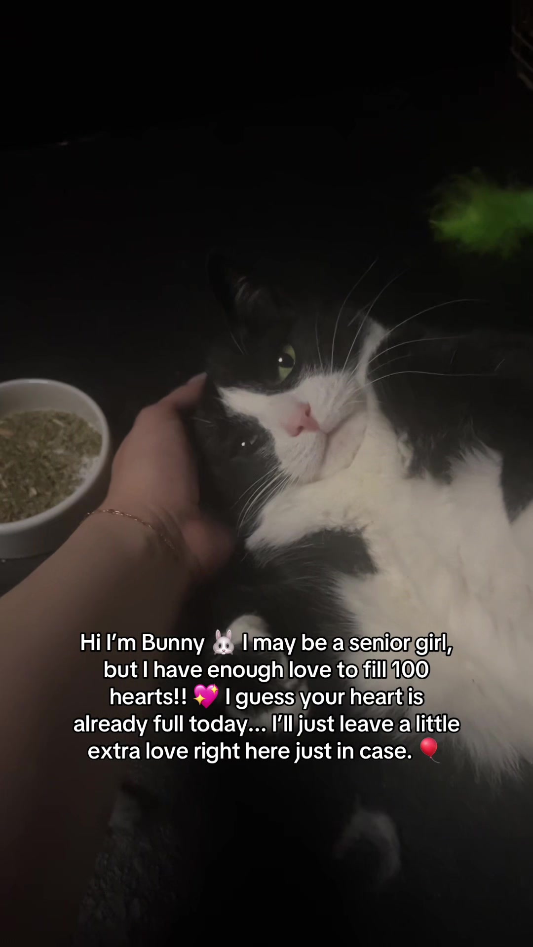 @Bunny