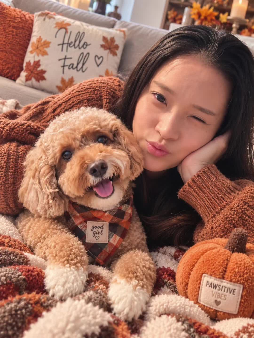 @Waffle | Pet Creator + UGC