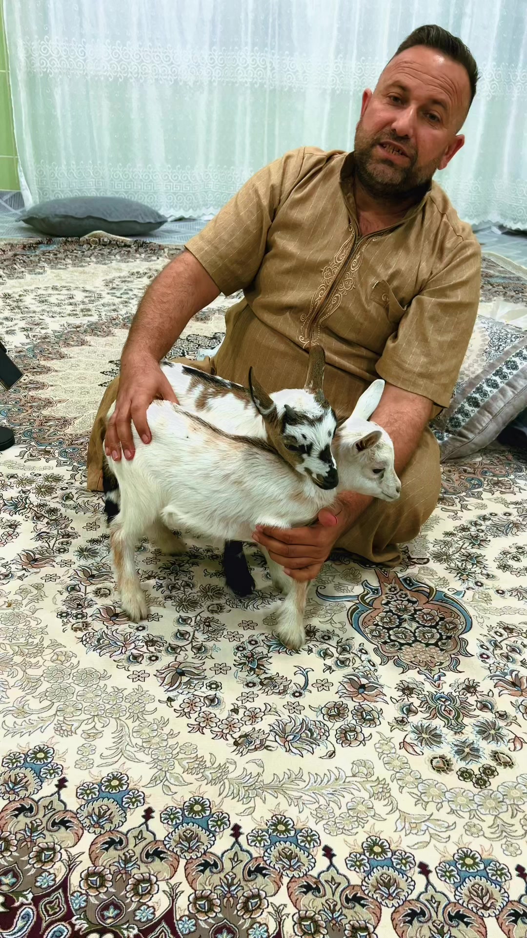 @ابوليره