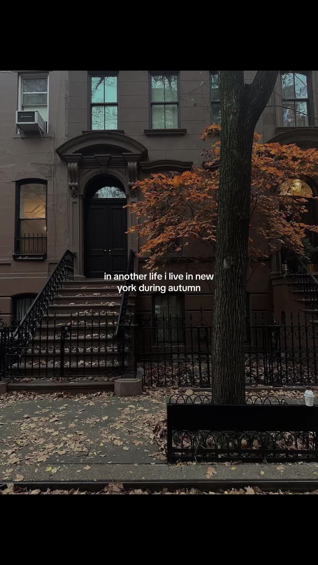 @𝓢𝓸𝓯𝓲