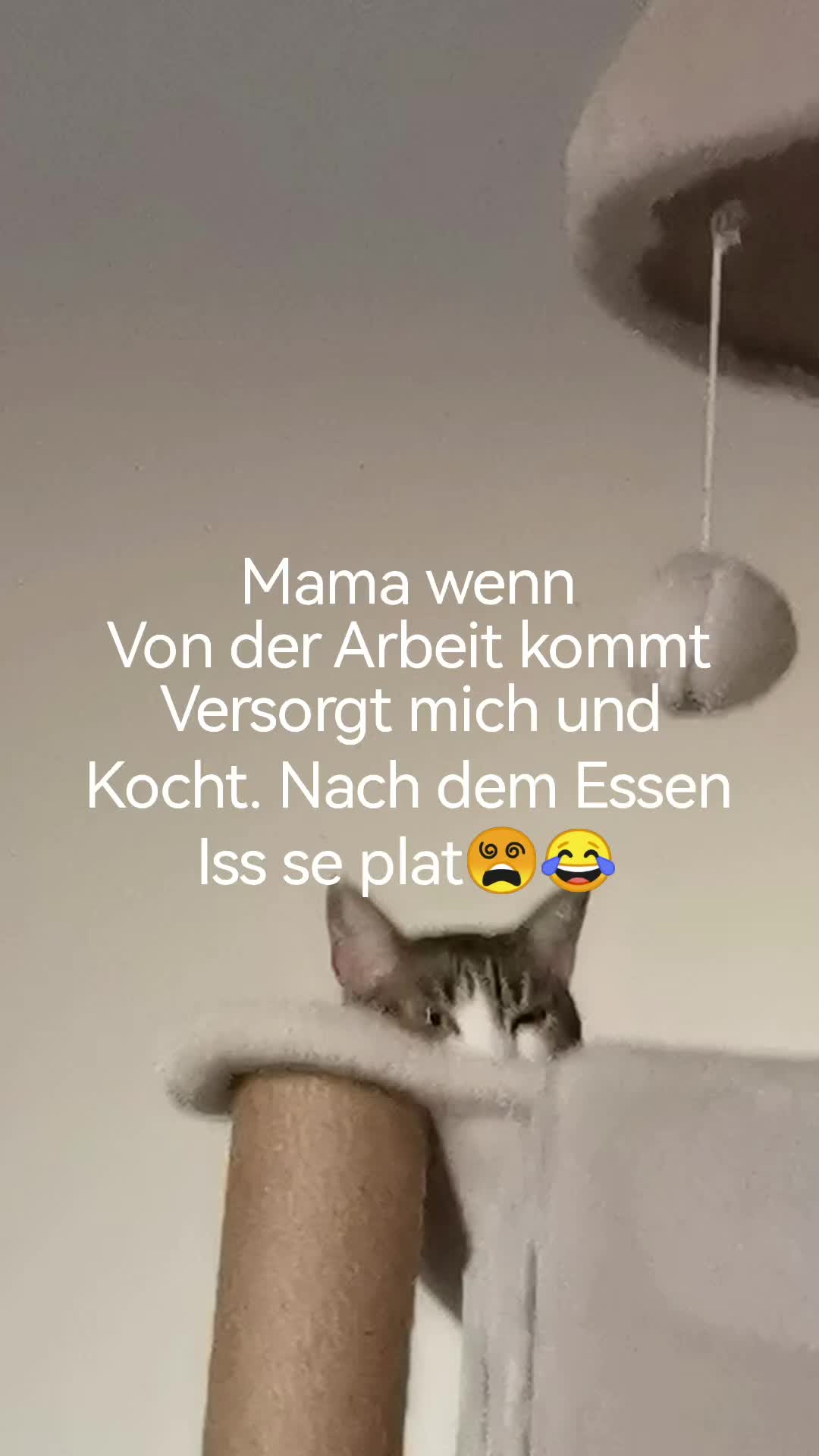 @juli🇩🇪🇺🇸🇷🇺