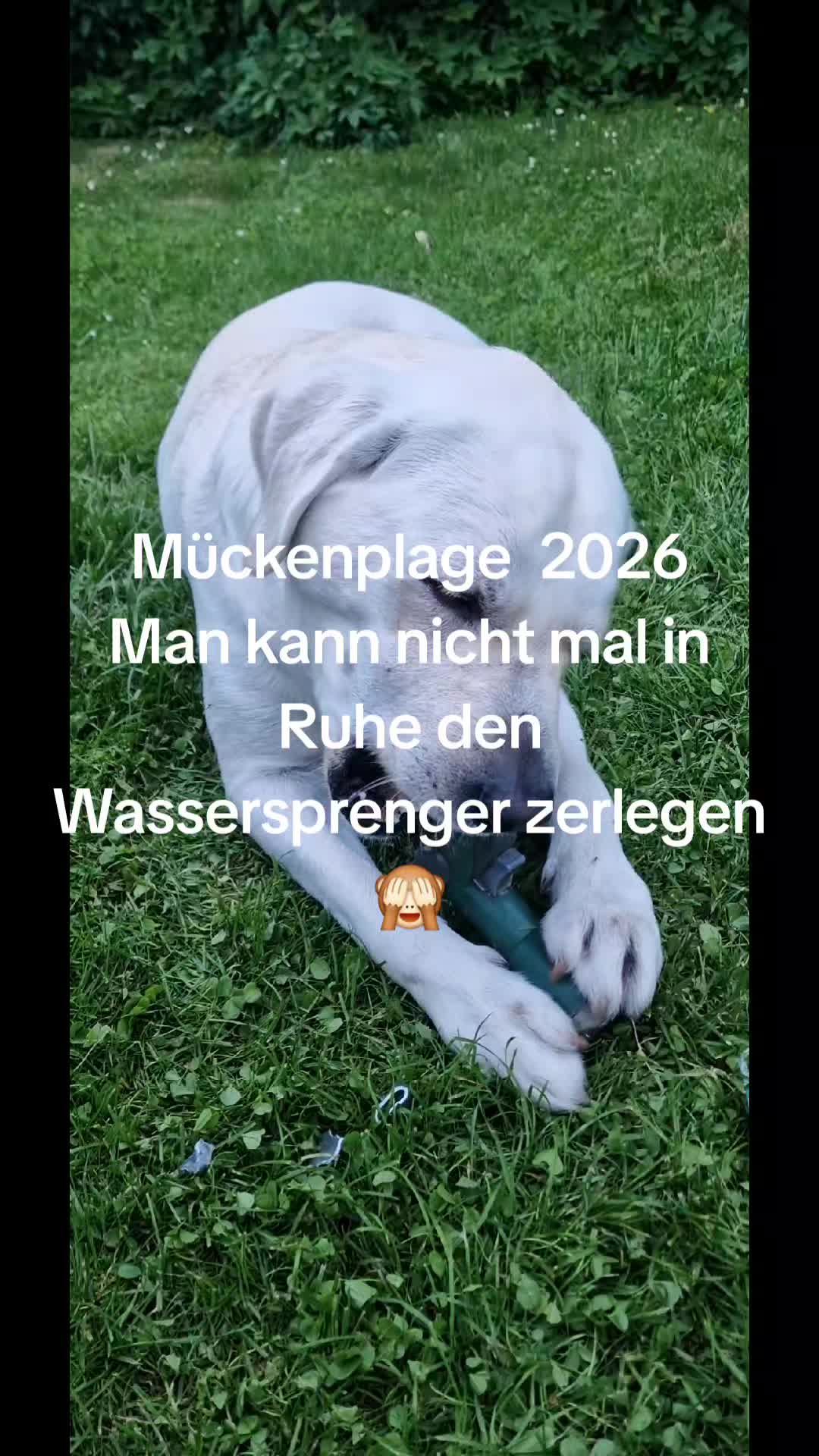 @Badekappe
