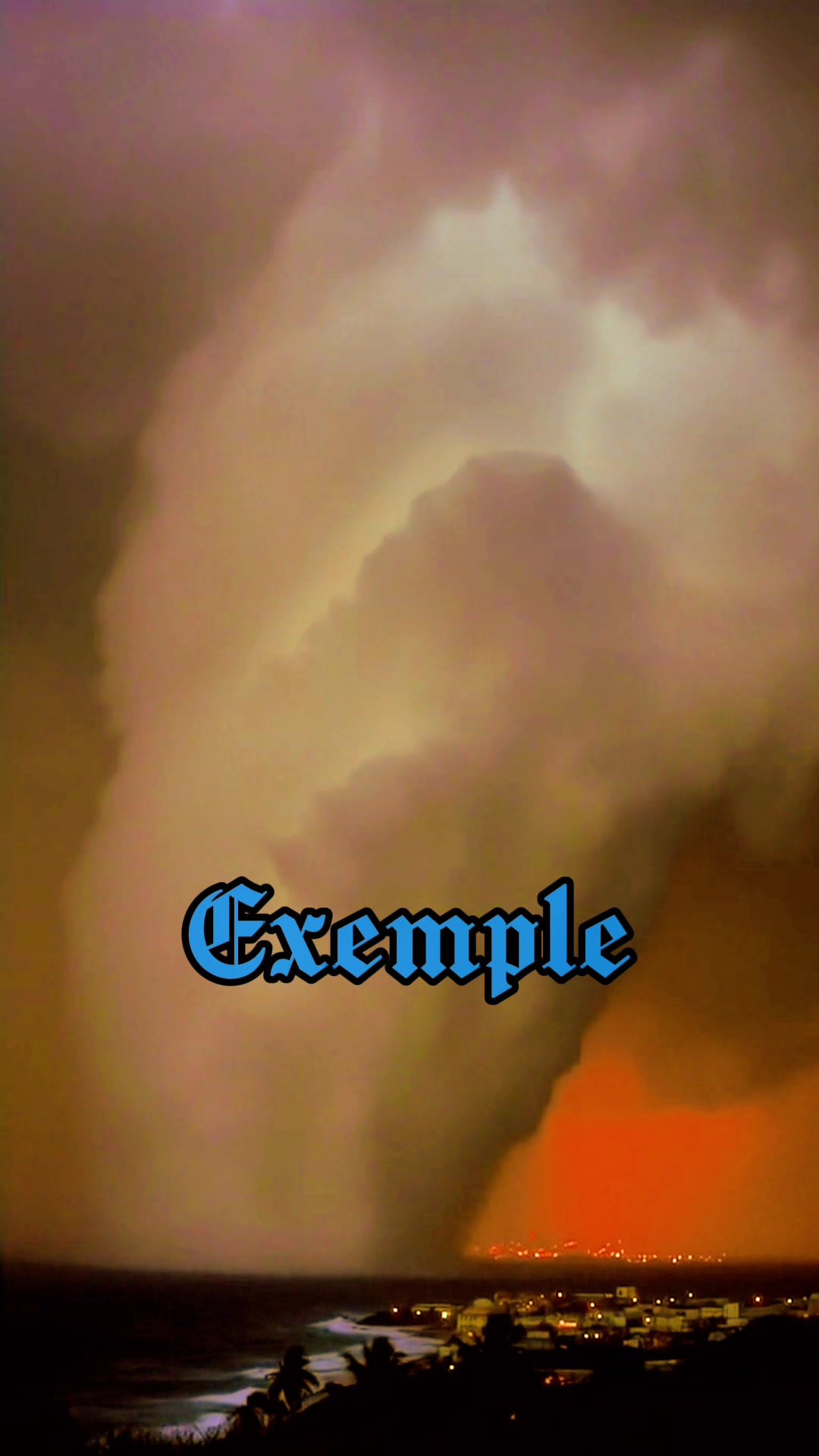 @SwampDiscoveries