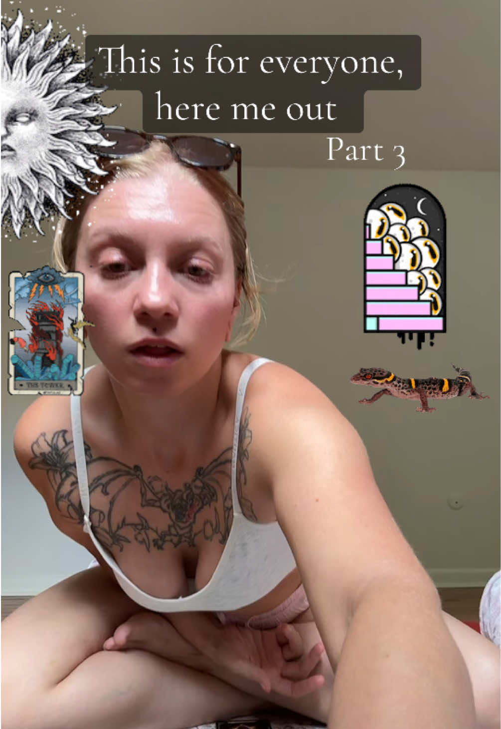 @ceilestewart