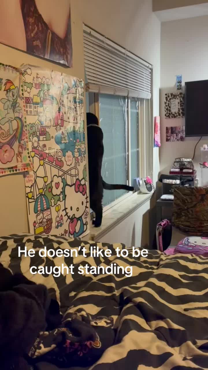 @Harleycake