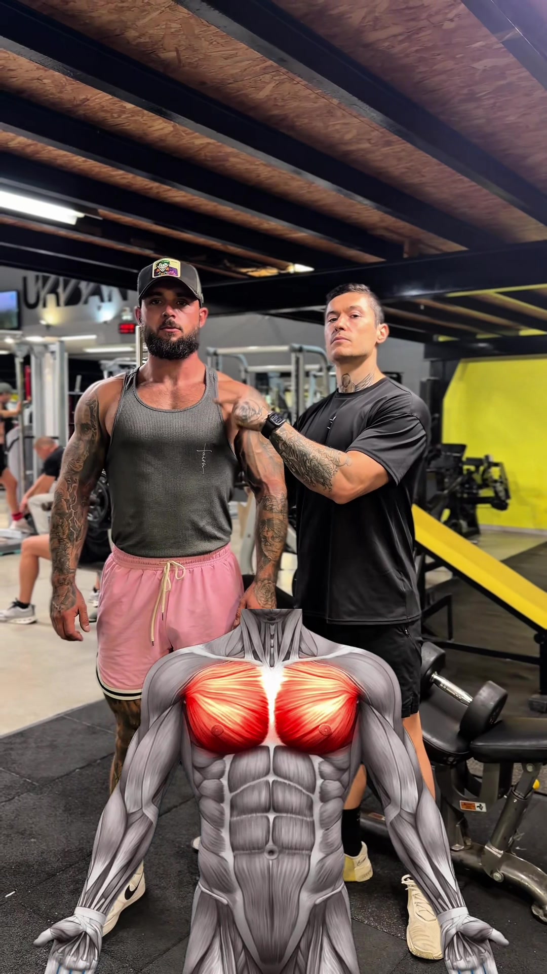 @Nicolas Loi - Personal Trainer