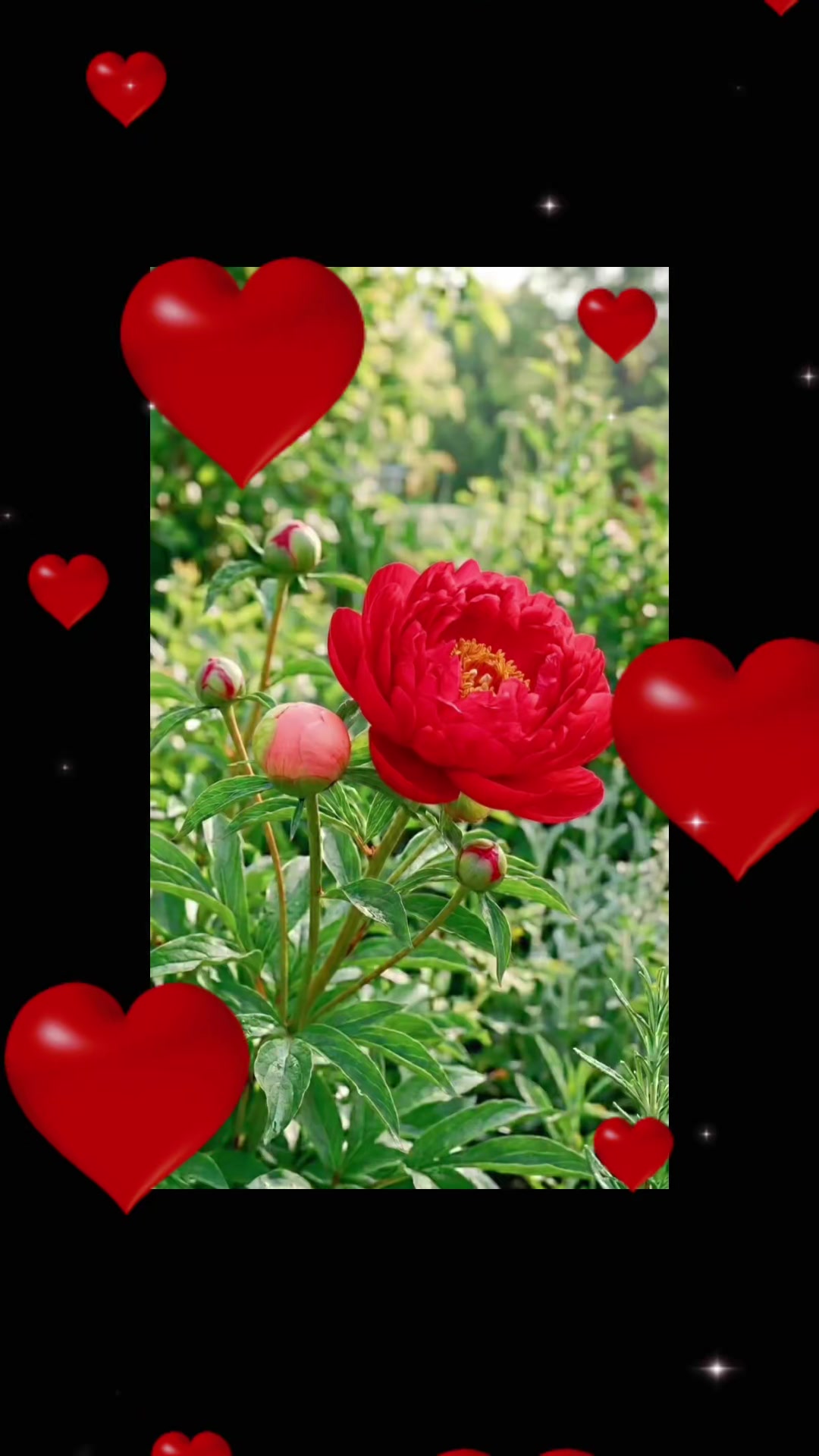 @Nazia Bhati🌷