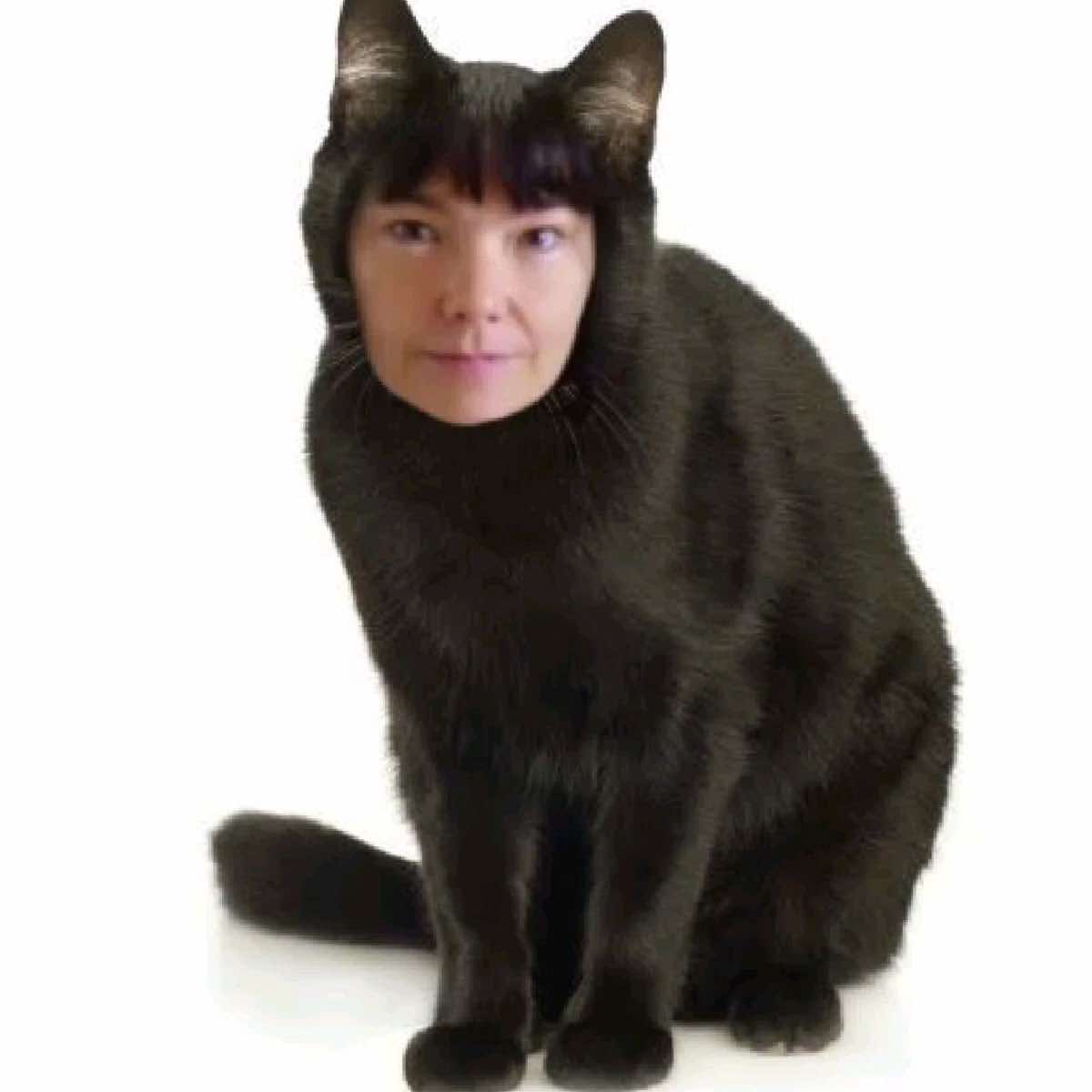@ilovebjork6969