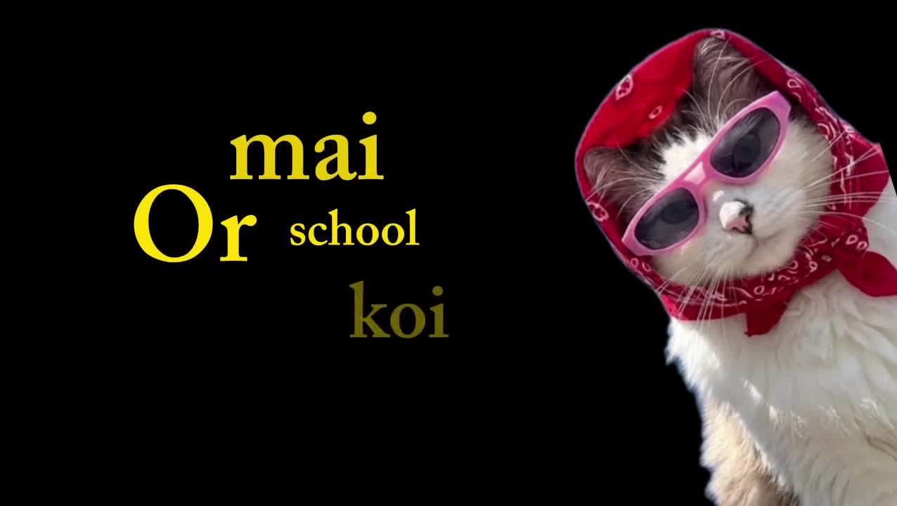 @Raza Edits