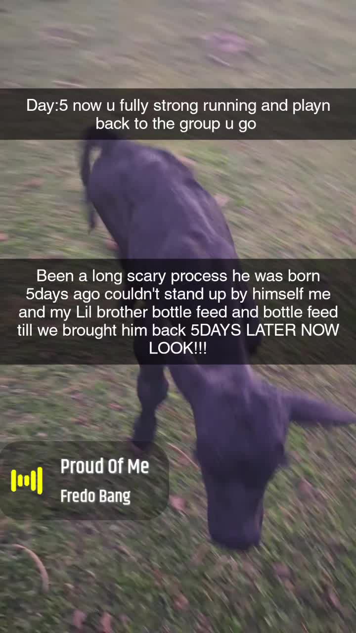 @calvinpittman