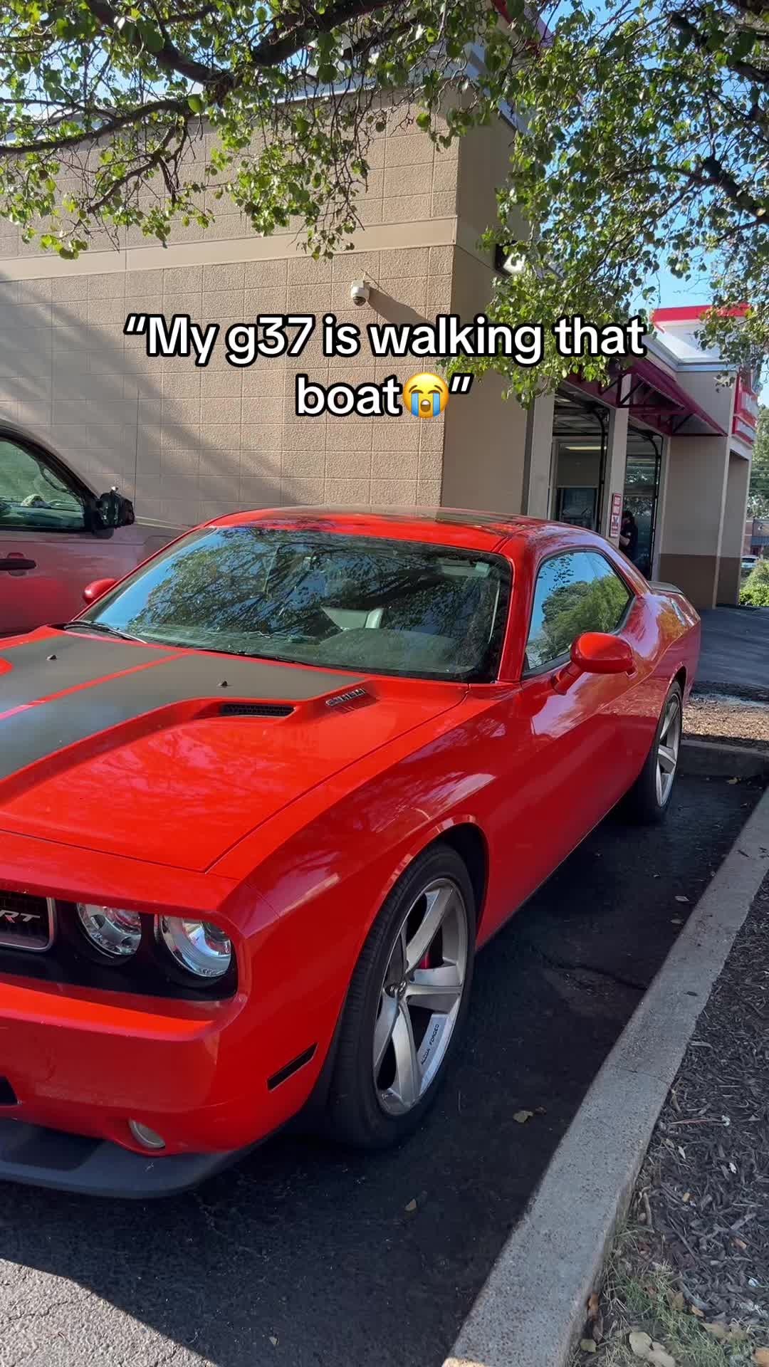 @Shakbruh