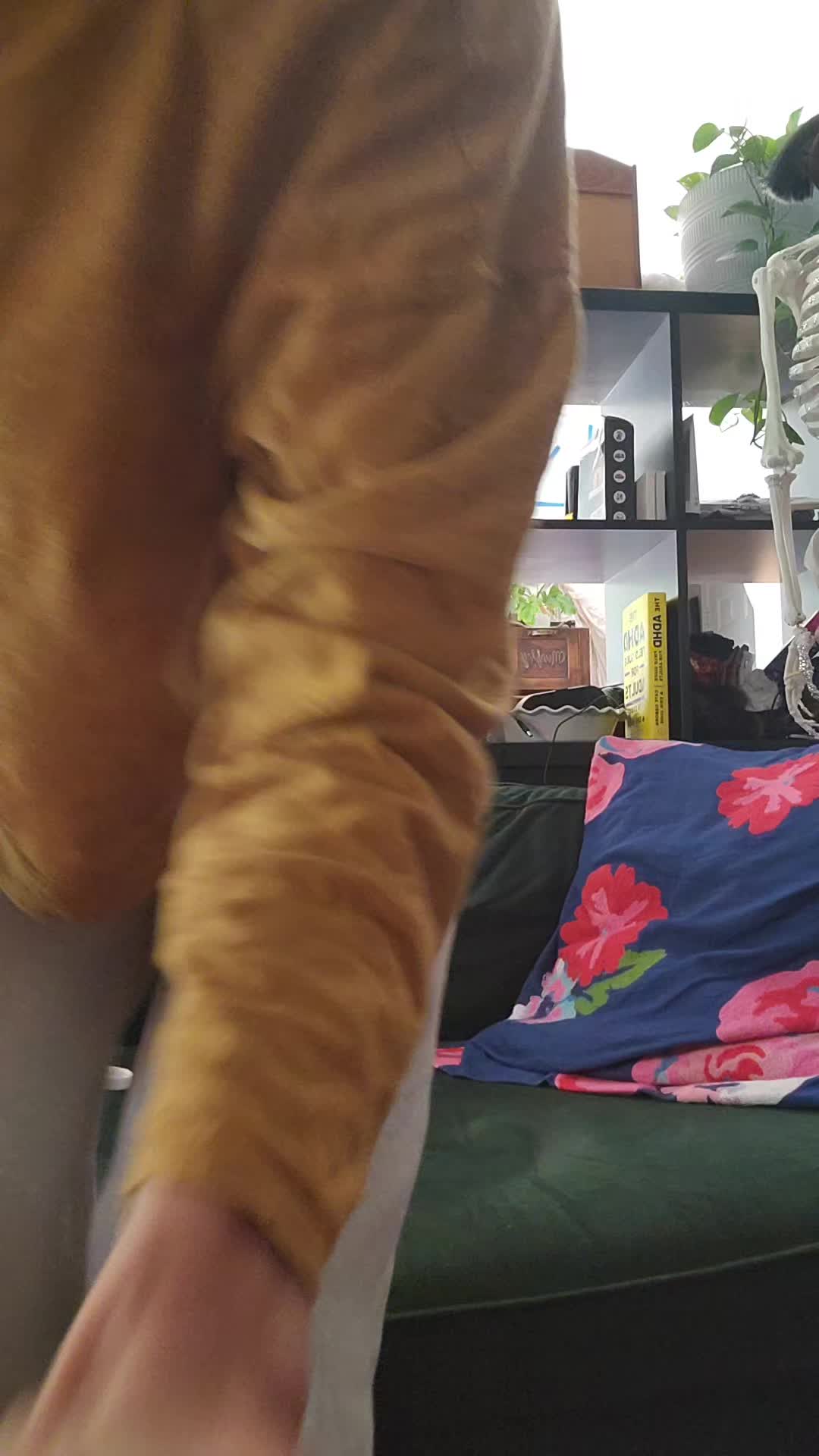 @Catieosaurus