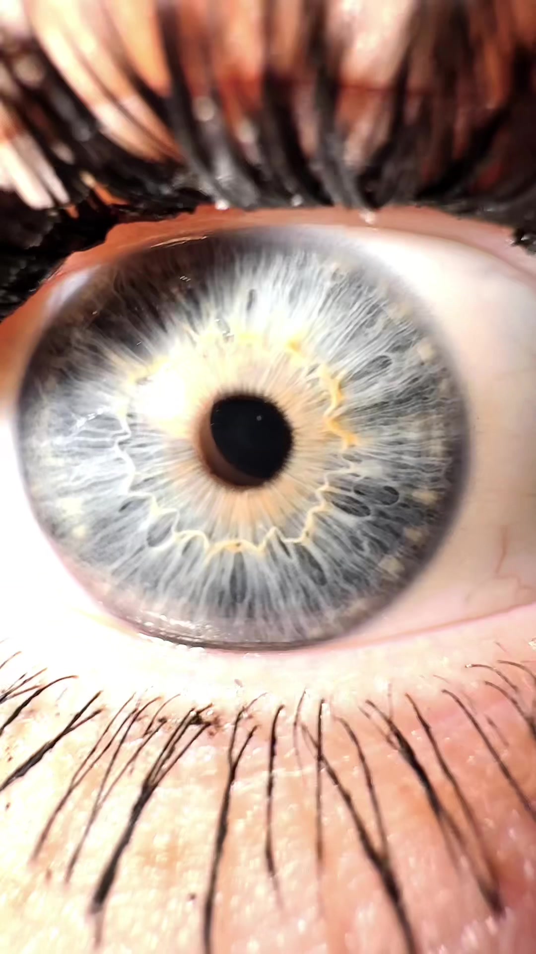 @SpookyDaScary