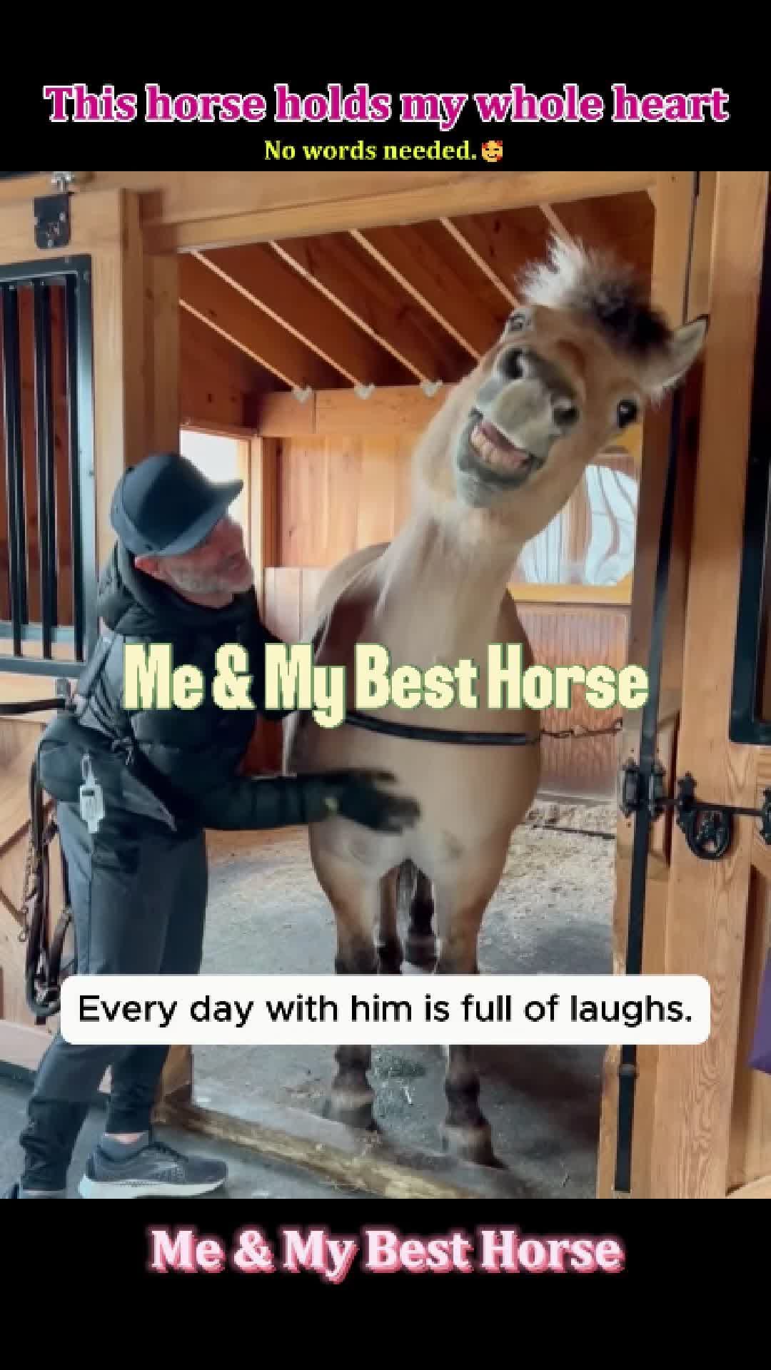 @Pet.humor5.USA