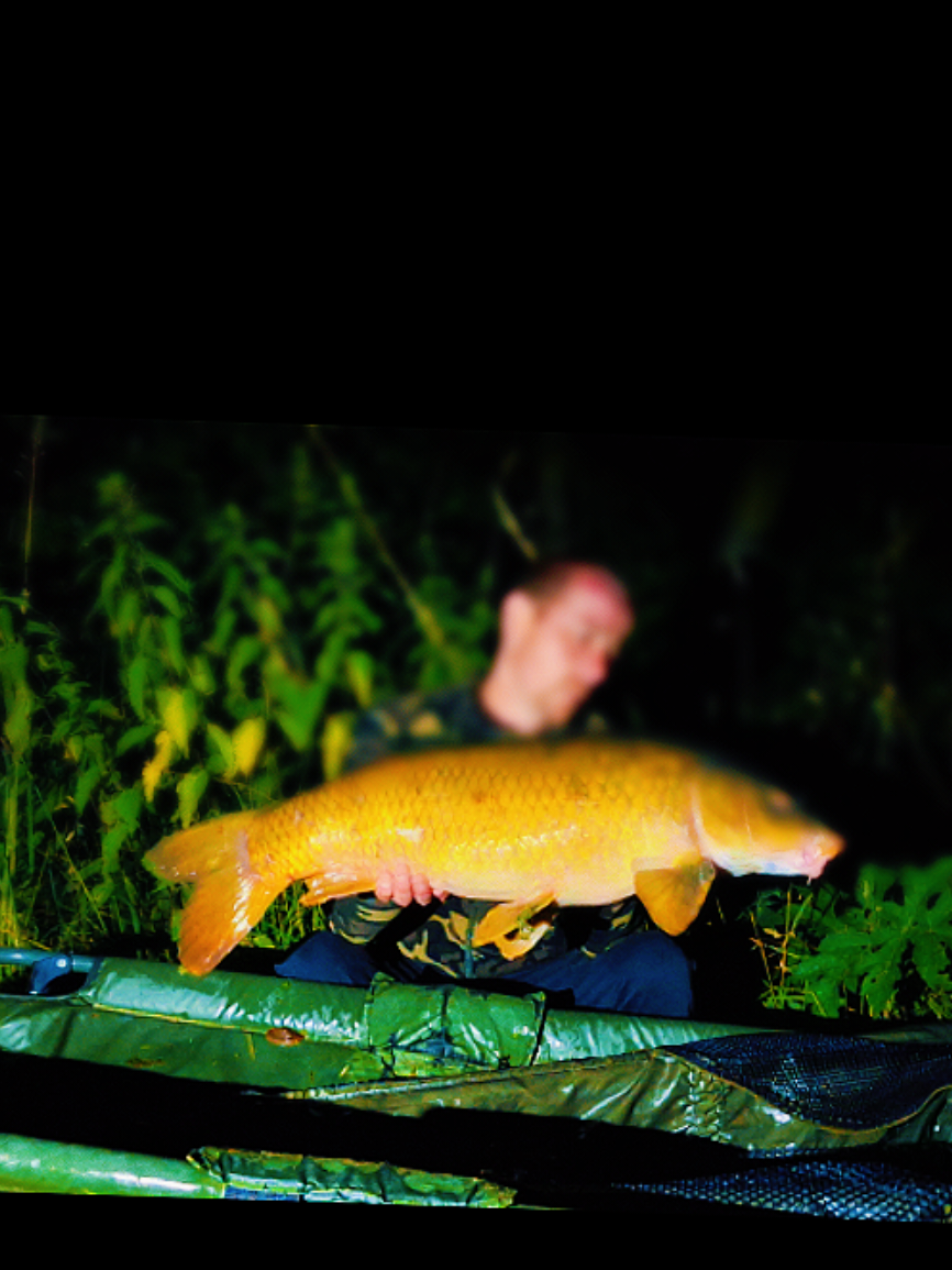 @Fish hunter